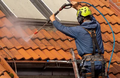 Démoussage et hydrofuge de toiture à Montroty